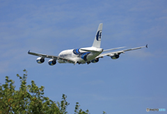 「青色が好き」 Malaysia A380-841 9M-MNB 出発
