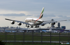 [青い空] A380 動物愛護と空飛ぶ..海亀 到着　