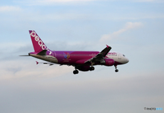 「良い天気」 Peach A320-214 JA820P 飛行