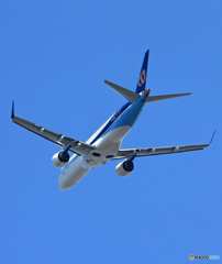 「そらー」 マンダリン航空 ERJ-190 B-16823 飛ぶ