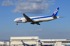 「Blue」 ANA 777-381 JA777A Landing 