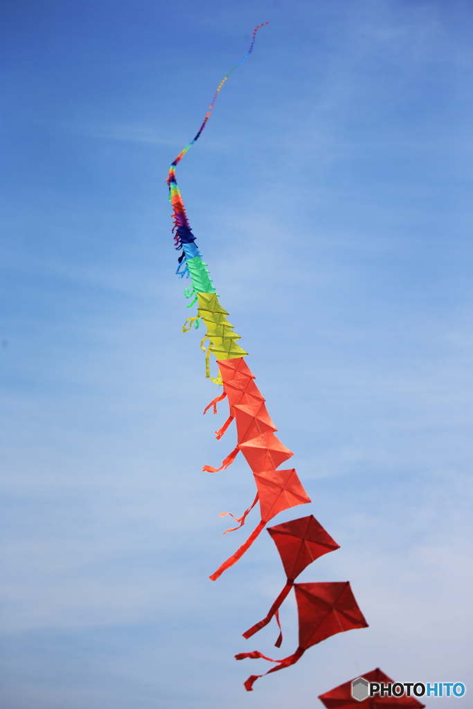 「群青」青 空 に 舞 う ・ ダ イ ヤ 連 凧