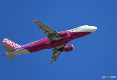「青い空」が一番 Peach A320-214 JA816P出発