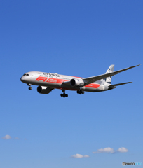 「青が大好き」ETIHAD 787-9 A6-BLV  Landing