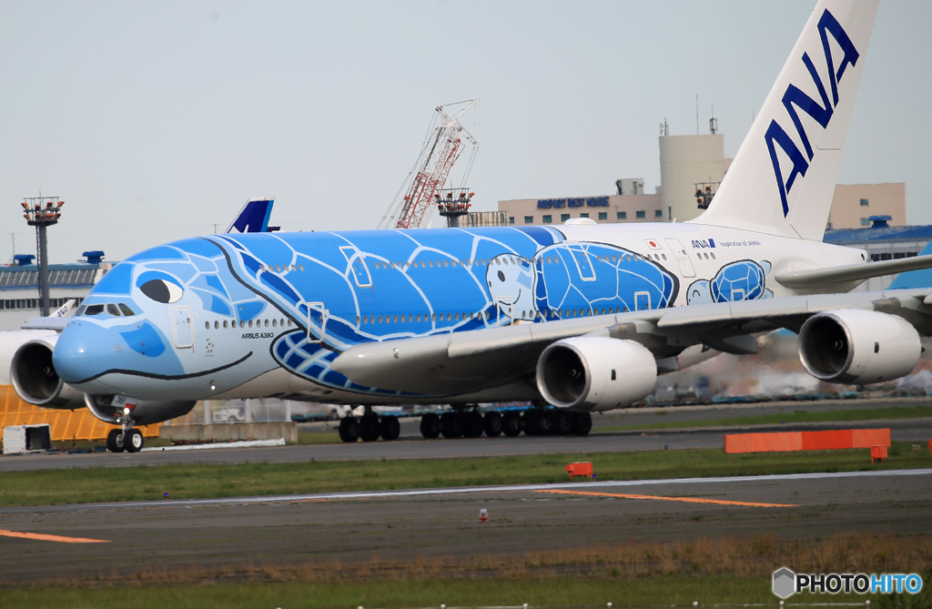 「青空」 ANA A380-841 JA381A Takeoff 