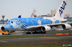 「青空」 ANA A380-841 JA381A Takeoff 