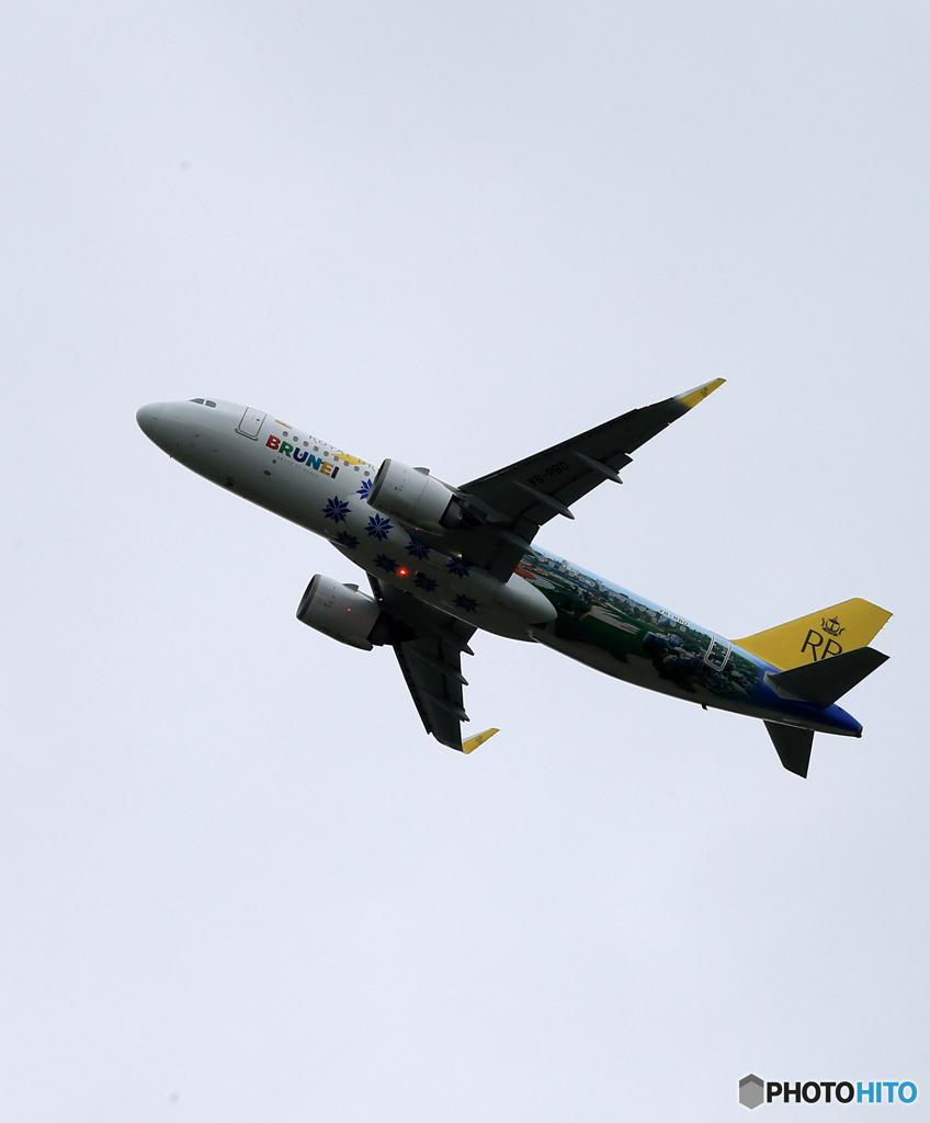 「くもり」ロイヤルブルネイ 特別塗装 A320-251 Takeoff  