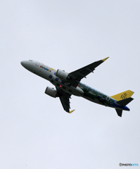 「くもり」ロイヤルブルネイ 特別塗装 A320-251 Takeoff  