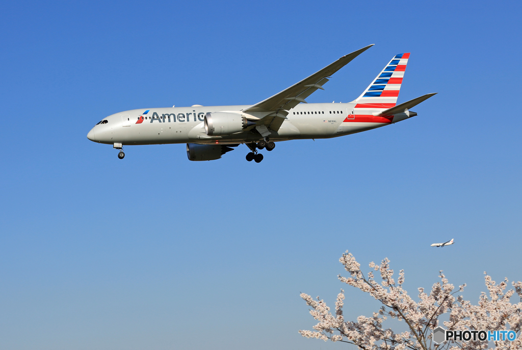 [青い空] +桜 American 787-9 N833AA Landing