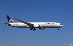 「SKY」UNITED 新型機787-10 N16008 着陸