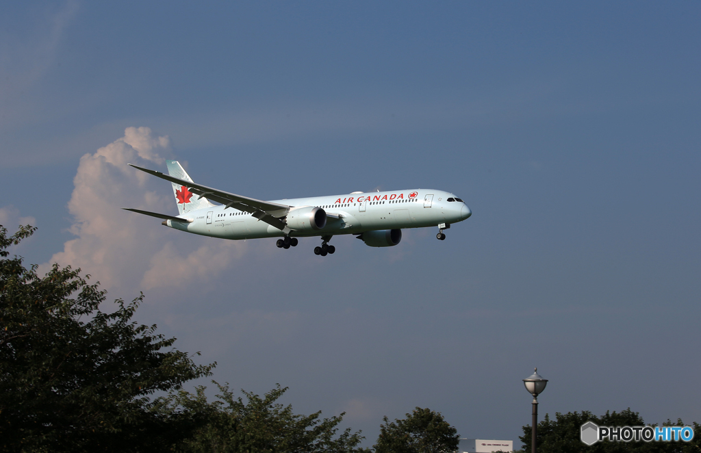 「あおぞら」Air Canada 787-9 C-FGDZ   Landing 