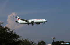 「あおぞら」Air Canada 787-9 C-FGDZ   Landing 