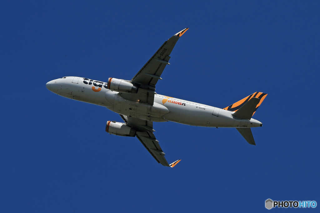 「群青」 tigerair A320-232 B-50016 出発です