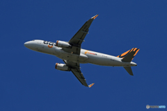 「群青」 tigerair A320-232 B-50016 出発です