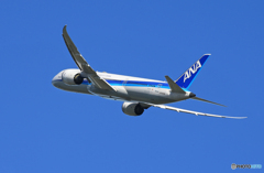  「晴れ」 ANA 787-8 JA839A  Takeoff 