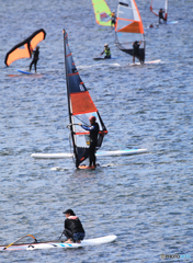 「クール」SUP・ ウイング / ウインドサーフィン