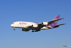 「真青の空」 Thai A380-841 HS-TUD 着陸