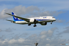 「そらー」 ANA 787-8 JA813A 通過