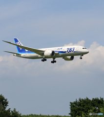 「青空」 ANA 787 定番 JA806A 到着です