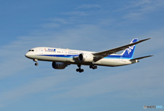 「良い天気」 ANA 787-9 JA837A Takeoff 