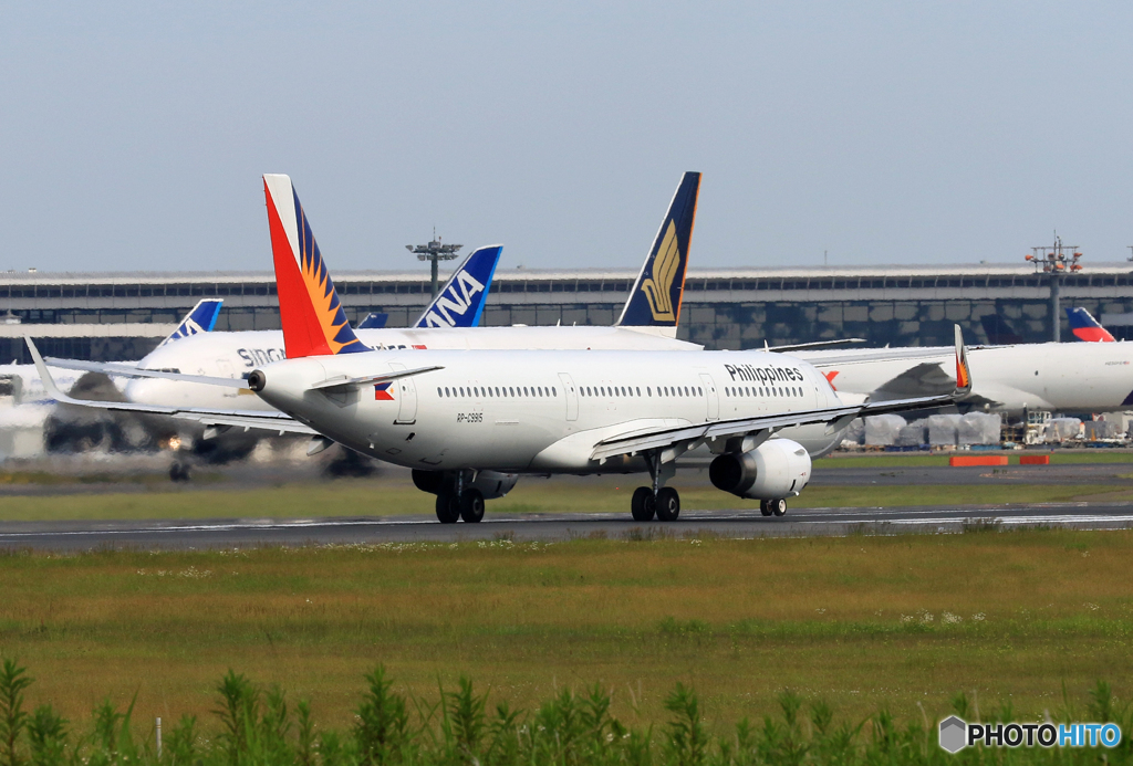 「すかい」 Philippines A321-231 RP-C9915 離陸です