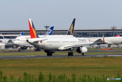 「すかい」 Philippines A321-231 RP-C9915 離陸です
