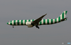 「くもり」Condor Green Island  [緑]  A330-900