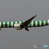 「くもり」Condor Green Island  [緑]  A330-900