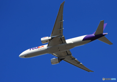「真青の空」 FedEx 777-FS2 N859FD 飛ぶ