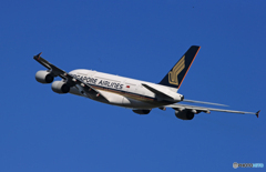 「晴れ」 Singapore A380-841 9V-SKR  離陸です