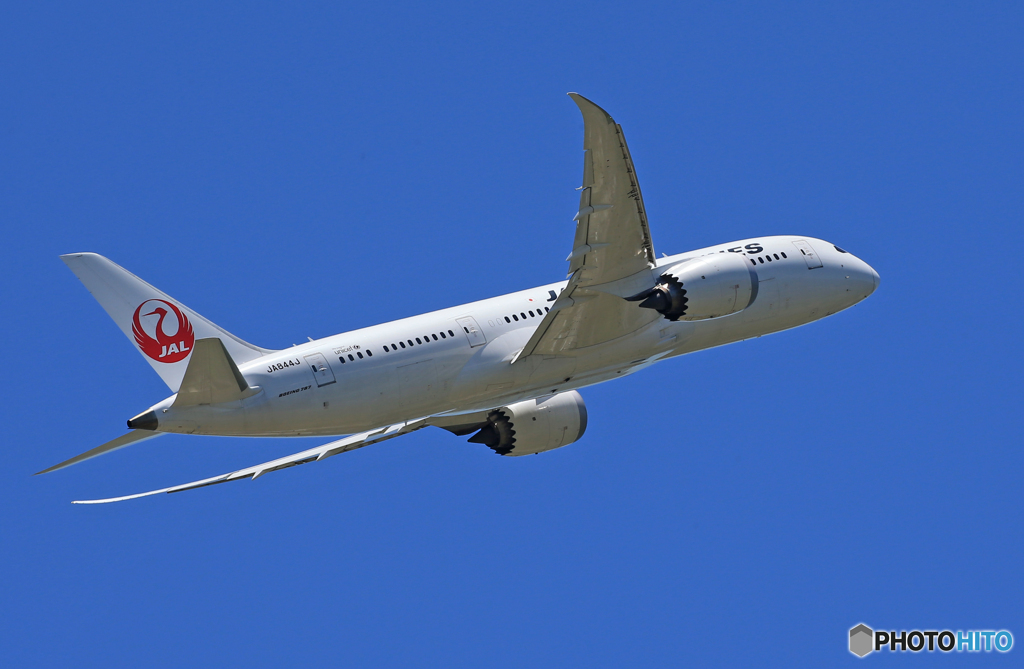 「蒼空」 JAL 787-8  飛び立ちです