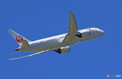 「蒼空」 JAL 787-8  飛び立ちです