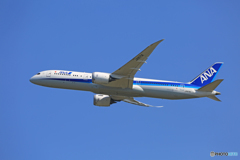 「青が好き」 ANA 787-9 JA871A Takeoff