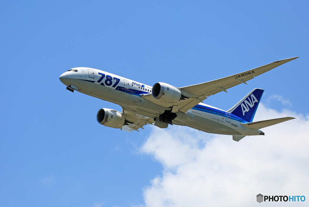 「空色」 ANA 787-8 JA806A 飛行