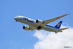 「空色」 ANA 787-8 JA806A 飛行
