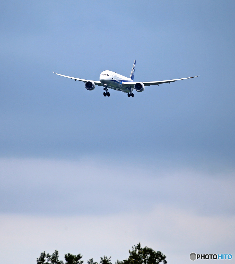 「はれー」ANA 787-9  JA886A  到着