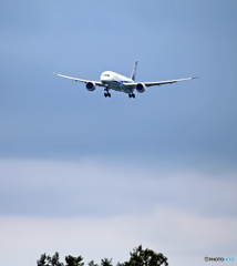 「はれー」ANA 787-9  JA886A  到着