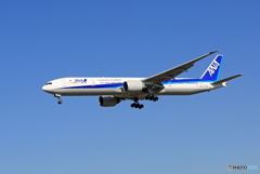 「青が好き」 ANA 777-381 JA779A 着陸します