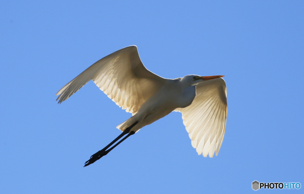 「青空」~ 飛び立ち ~