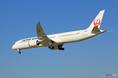 「青色」 JAL 787-9 JA867J 到着です