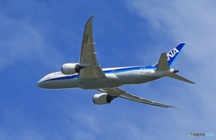 「スカイ」 ANA 787-8 JA802A Takeoff  