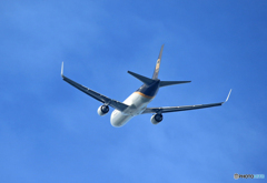 ☆「ブルー」コロナ禍で活躍する貨物機　UPS 767