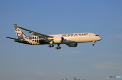 「すかい」 Air NZ' 787-9 ZK-NZJ 着陸します