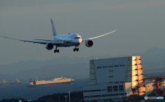 「青が好き」☮ 　羽田空港の夕景　☮