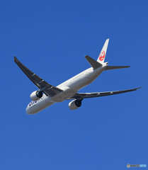「真青の空」 JAL one world 777 JA732J飛ぶ
