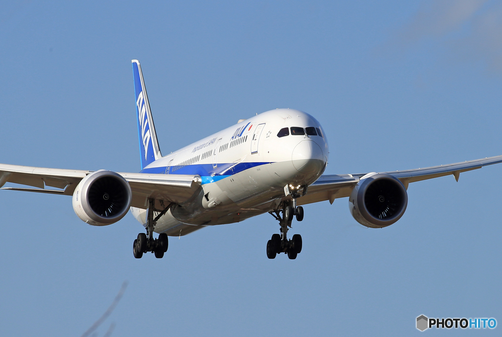 ☀「青い空」が一番 ANA 787-9 JA895A