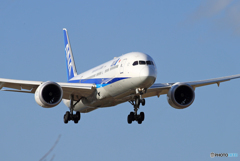 ☀「青い空」が一番 ANA 787-9 JA895A