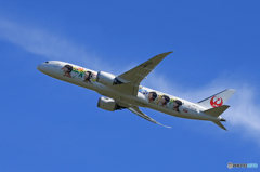 「あおいそら」JAL 特別塗装 787-9 JA873J Takeoff  