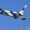 「群青」☮   Airbus A380が飛ぶ・さくらの山 ✈