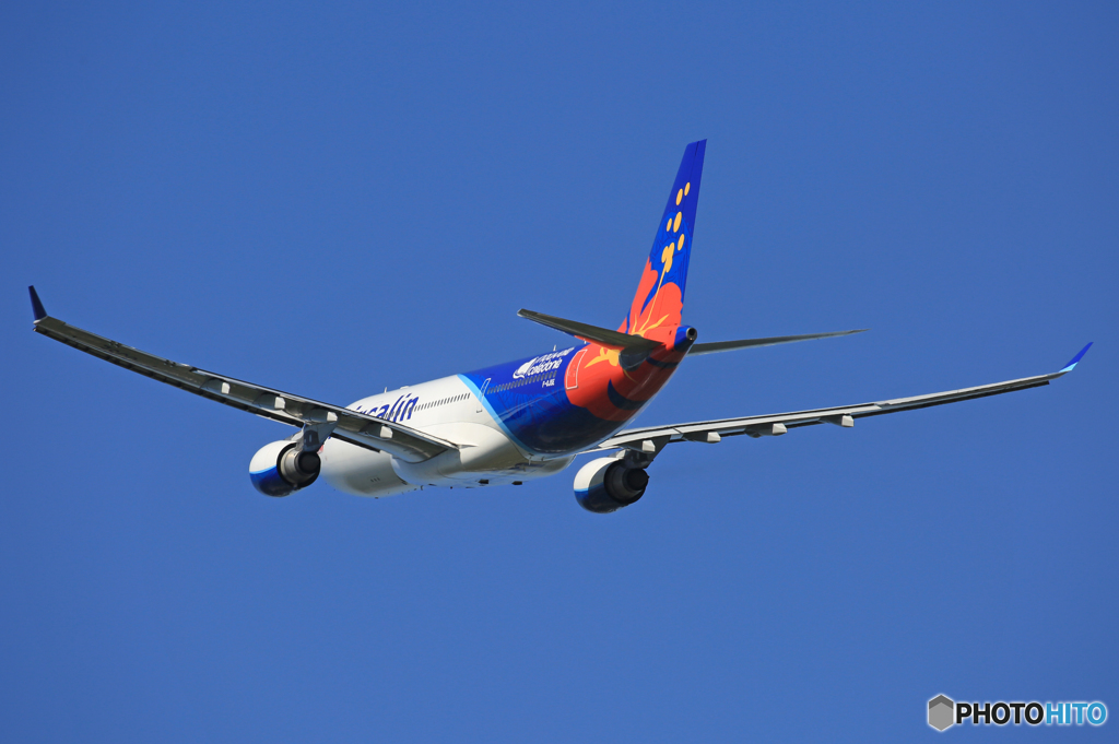 「青」 Air Calin A330-202 F-OJSE 飛行 